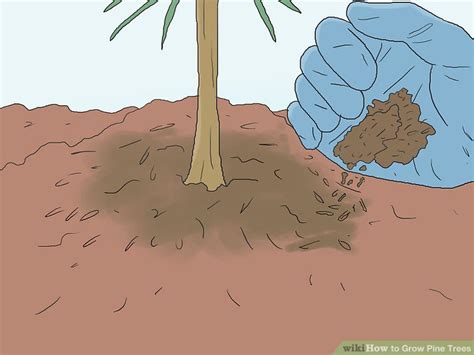 Image result for Tutorial On Creating Pine Trees