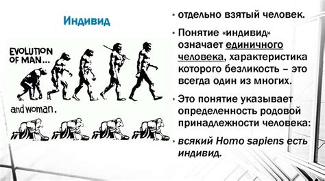 Социальная антропология (лекция 4) - презентация онлайн