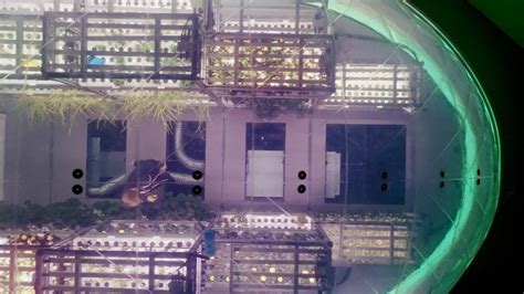 Image result for Interstellar Lab