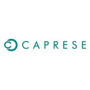 Caprese womens CLAIRICE SB Medium BLUE Sling Bag : Amazon.in: Fashion