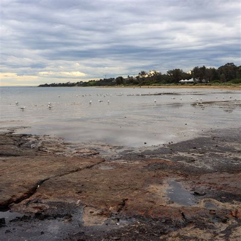 RICKETT'S POINT - All You Need to Know BEFORE You Go 2026 (with Photos ...