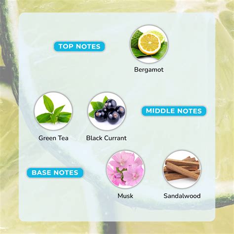 Offer Page – Moody Store