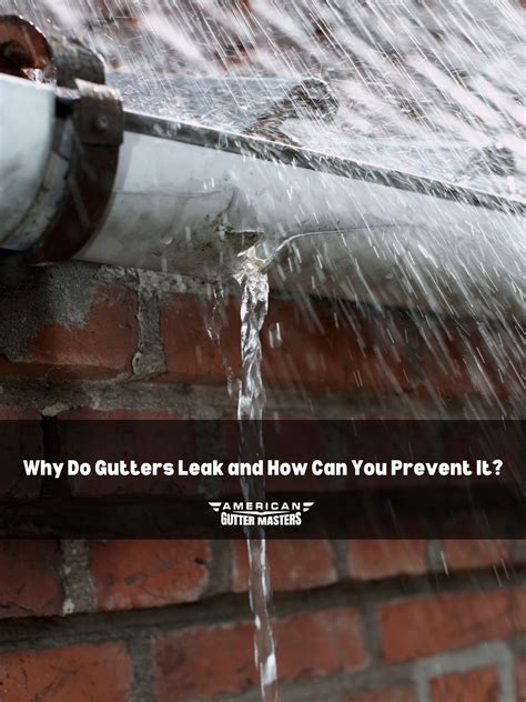 Image result for Gutter Topper Problems