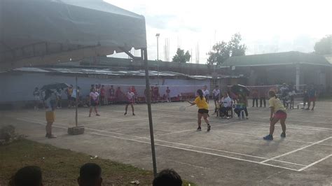 Image result for Intramurals Source Code Java