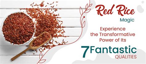 Red rice: 7 fantastic reasons to eat it – Organic Gyaan