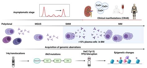 A Comprehensive Review of the Genomics of Multiple Myeloma ...