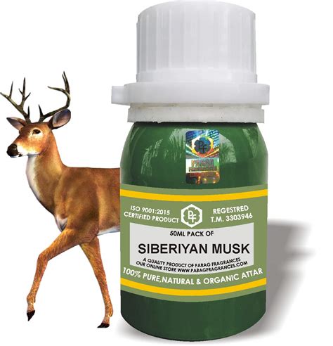 PARAG FRAGRANCES SIBERIYAN MUSK 50ML Natural Alcohol Free Attar, Best ...