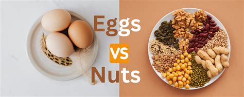 Eggs or nuts: Which Is A Good Breakfast Choice In Winter? — Dr Trust
