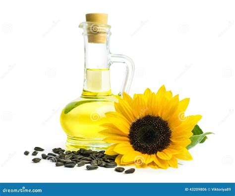 Oil with sunflower seeds stock photo. Image of healthy - 43209806