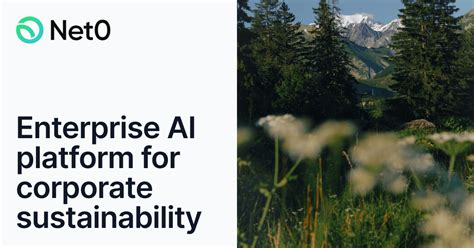 Image result for Net 0 Logo