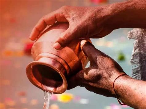 BharatPe: BharatPe launched 'Mahakumbh Shield', know how devotees ...