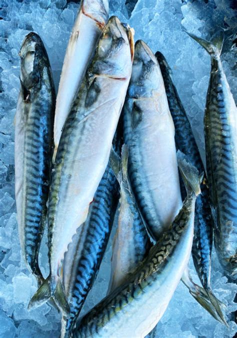 Image result for Frozen Cod Fillets