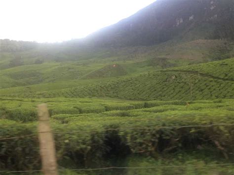 Kerala holiday package tour with Historic Sites, Backwaters & Houseboat