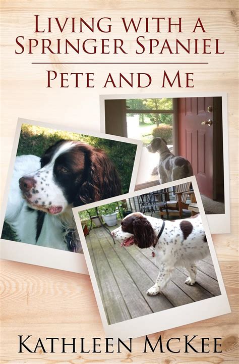 Living With a Springer Spaniel: Pete and Me eBook : McKee, Kathleen ...