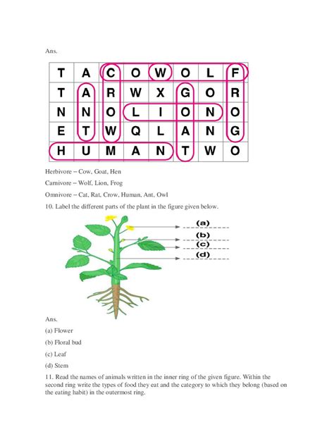 Image result for Class 6 Science Extra Questions