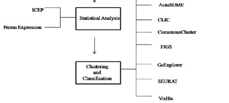 Microarray Data Analysis Software 的图像结果