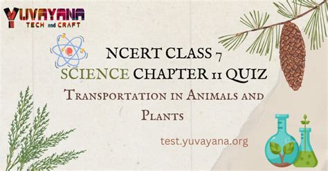 Image result for Jr Tutorials 7th Class Science Chapter 11