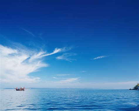 Character Modeling Reference 的图像结果