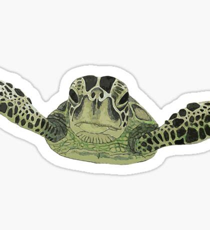 Image result for Python Turtle Stickers