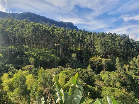 CREO ECOLODGE JARDIN HOSTEL - Hostel Reviews, Photos, Rate Comparison ...