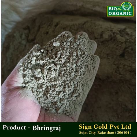 Bhringraj Powder - 25kg Organic Bhringraj Powder Manufacturer from Sojat