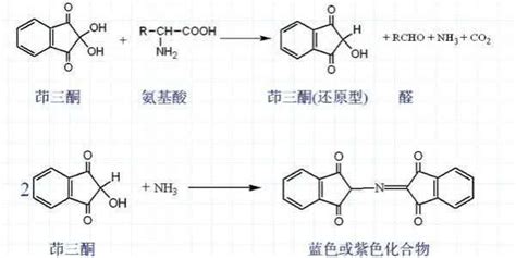 氨基酸与茚三酮反应原理