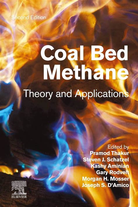 Coal Bed Methane: Theory and Applications eBook : Thakur, Pramod ...