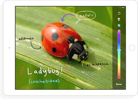 Dojo Kids 的图像结果