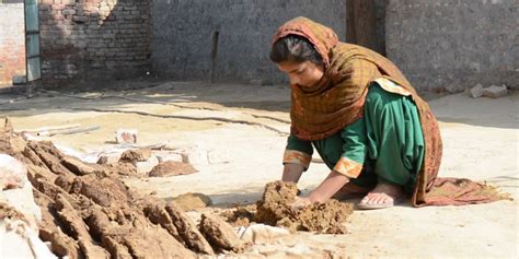 The Wire: The Wire News India, Latest News,News from India, Politics ...