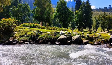 Tour and Travel Agency in Kashmir - Peacock Holidays