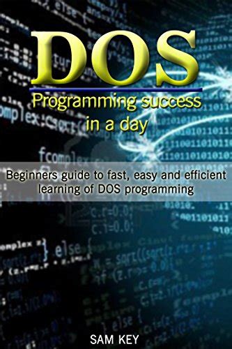 Dos Programming 的图像结果