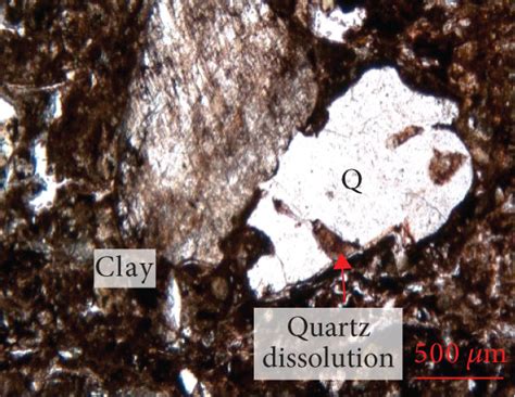 Image result for Quark Under Microscope