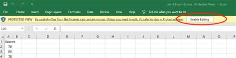 Image result for Enable Excel File
