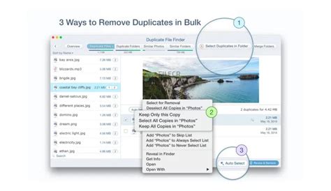 Image result for Duplicate File Finder Filecr