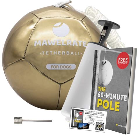 Buy MAWELRATE Durable Tetherball for Dogs - Perfect Heavy Duty Outdoor ...