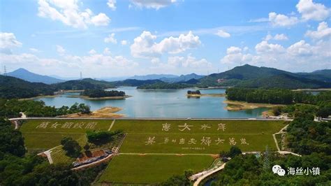 30亩水库出租 广西玉林市容县杨梅镇-农村土地网