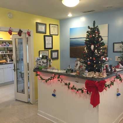 Sun Dog Cat Moon Veterinary Clinic Office Photos