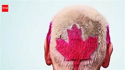 Canada to remove restrictive citizenship by descent norms, diaspora to ...