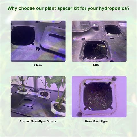 Buy 25 Pack Square Plant Spacer Kit for Hydroponic Growing System ...