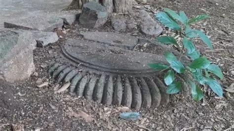 8th-Century Temple Dying a Slow Death Due to Neglect in Odisha