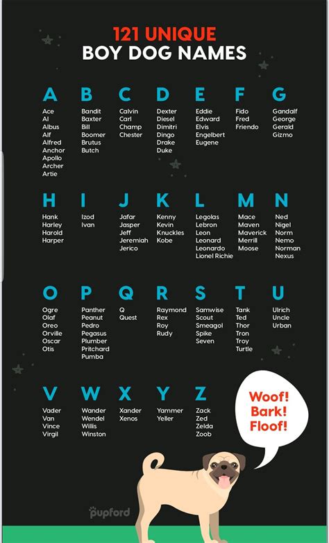 Best 13 Minecraft Dog Names 134+ Best & Cute & Top Dog Names – Artofit