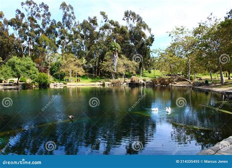 Gorgeous View of the Green Lake Water and the Lush Green Trees and ...