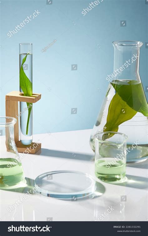 Image result for Test-Tube Beaker