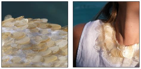Upcycling Salmon Skin Waste: Sustainable Bio-Sequins and Guanine ...