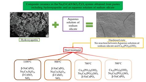 Composite Ceramics in the Na2O–CaO–SiO2–P2O5 System Obtained from ...