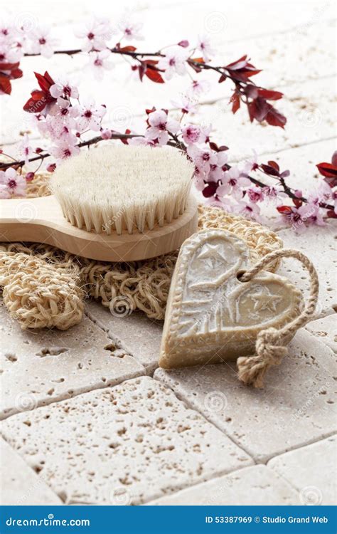 Cherry Blossoms for Beauty Treatment Stock Image - Image of caring ...