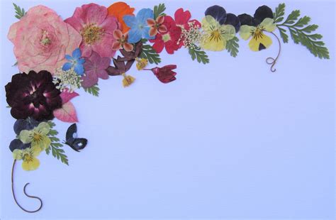 Blue Spring Flower Names