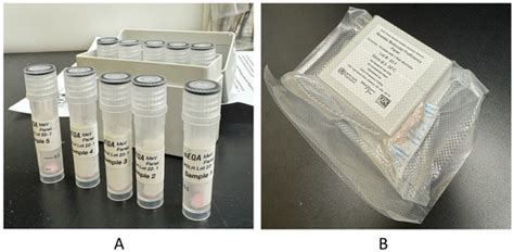 Building Quality Control for Molecular Assays in the Global Measles and ...