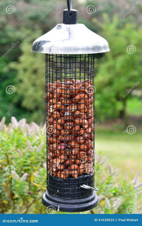 Peanut feeder in cage stock image. Image of bird, feed - 41639023