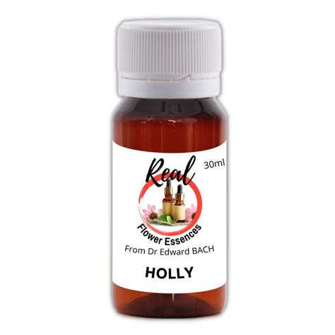 Buy Holly 30ml Online at Low Prices in India - Amazon.in